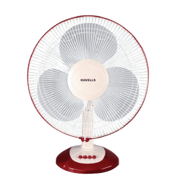 Buy fan shop near me