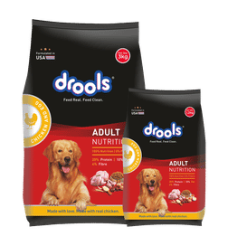Buy Pet Supplies Online in Mumbai Instant Delivery