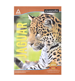 Classmate Unruled Longbook A4 140 Pages 1 Piece, 1 Piece, 48 Rupees