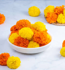 Marigold flowers deals near me