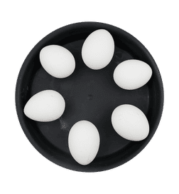 Fresh Eggs White eggs, 6 pieces, 49 Rupees