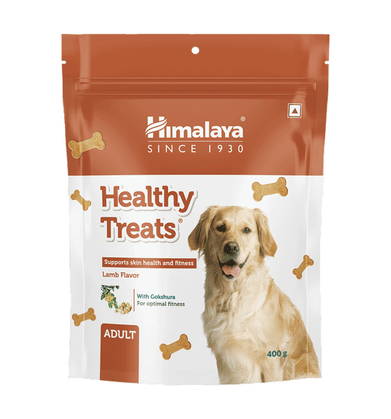 Buy Himalaya Healthy Treats (Lamb Flavor) 400g (Adult) Online (400