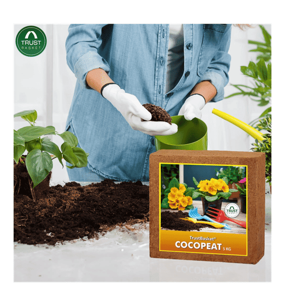 Coco出品 チョコ 4.5.7.8 チョコ 4.5.7.8 楽天市場】adidas アディダス