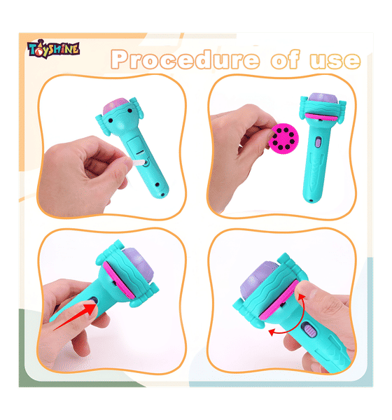 Buy Toyshine Toyshine Projection Flashlight Educational Toy 1 Piece Online At Rs. 599 Instant Delivery