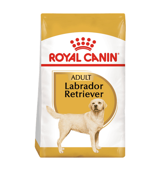 Buy Royal Canin Labrador Adult 12 Kg Online (12 kg) At Best Price