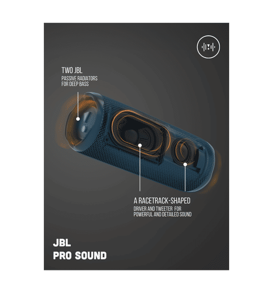 JBL Flip 6 Bluetooth Box In Black