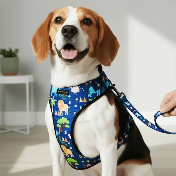Buy Mutt of Course Jungle Harness Online (1 Piece) At Best Price