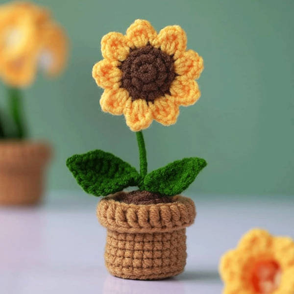 Buy Quace Handmade Crochet Sunflower (Assorted, Mother Day Special