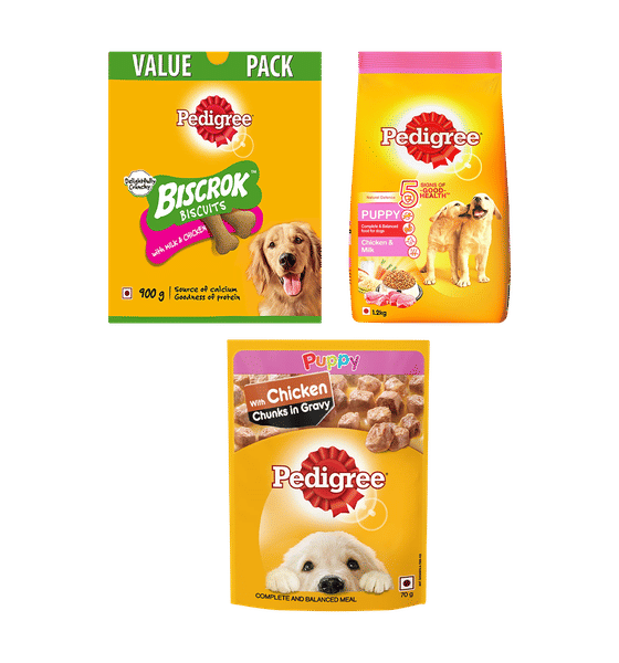 Pedigree Puppy Dry, Wet Dog Food In Gravy And Treats Combo Pack