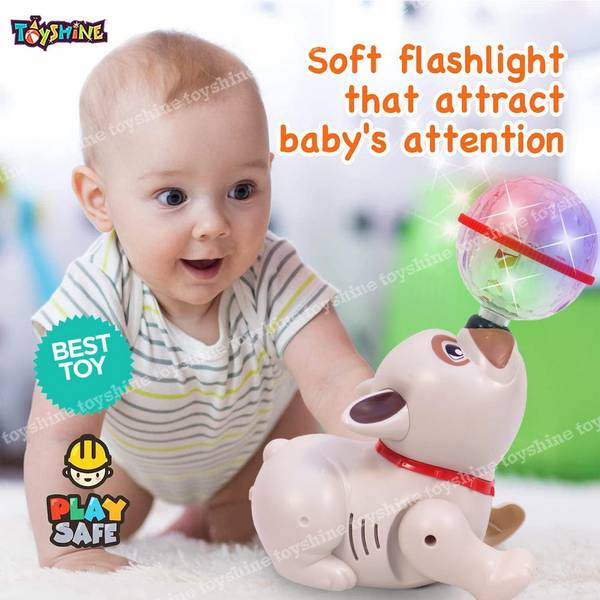 Buy Toyshine Toyshine Dancing Dog with Music Flashing Lights 1 Piece Online At Rs. 999 Instant Delivery