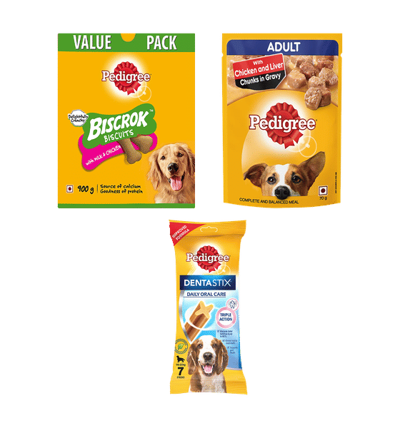 Buy Pedigree Adult Wet Dog Food In Gravy Multipack Care Treats