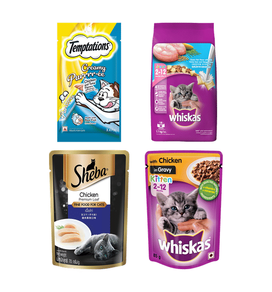 Whiskas Kitten Dry, Sheba Wet Food and Temptations Cat Treat Combo Pack
