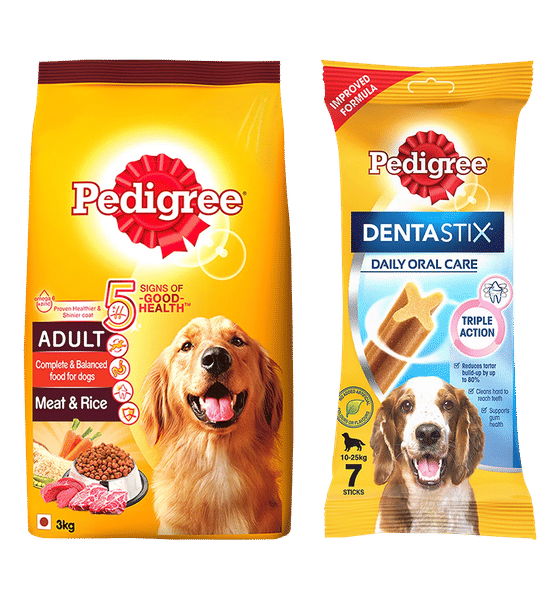 Pedigree Adult Dry Dog Food And Dental Care Combo Pack