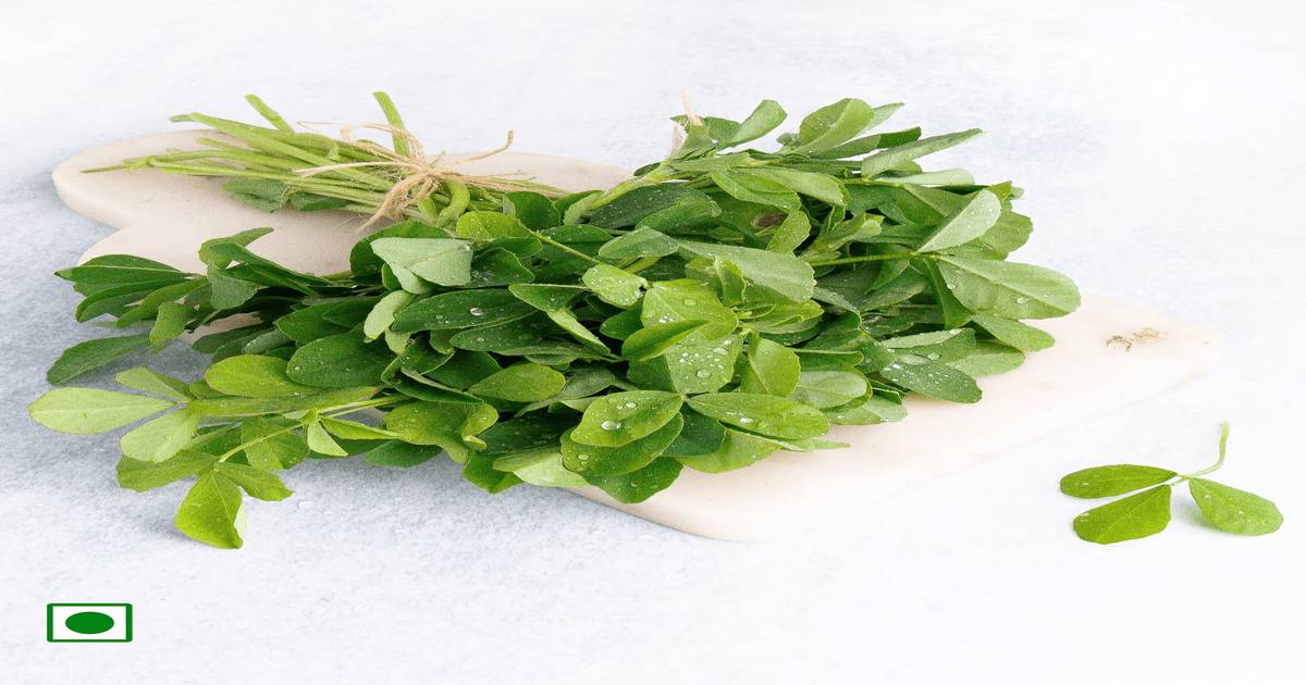 Buy Fenugreek (Menthya Soppu) Online (1 Bunch x 2) At Best Price