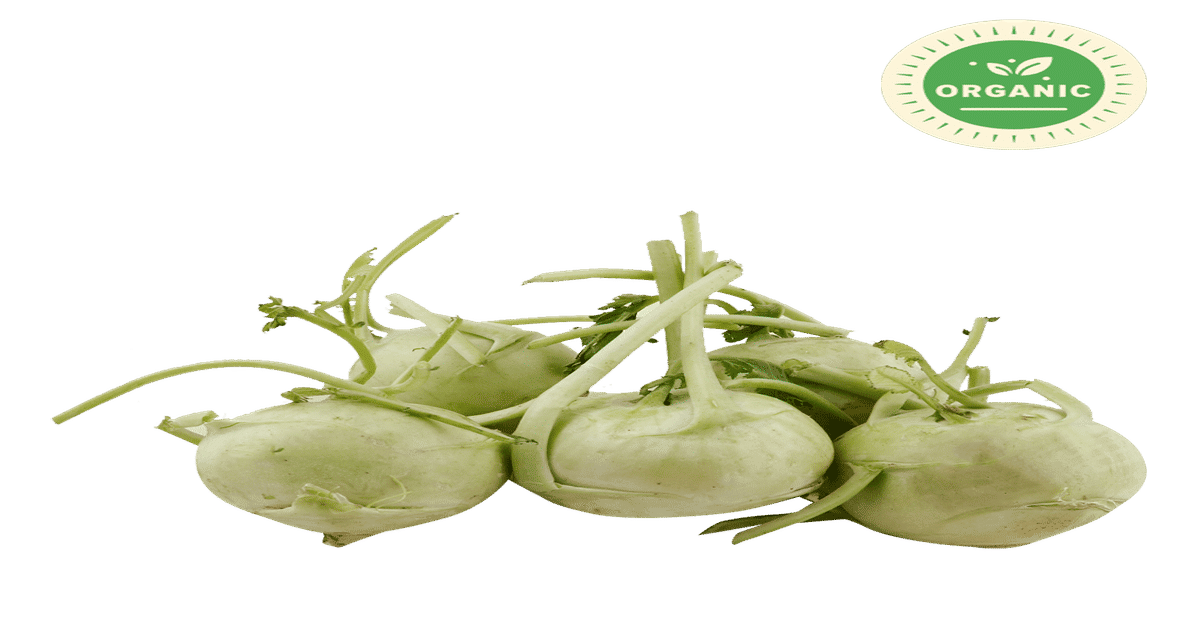 Buy Organic Certified Knol Khol Online () At Best Price