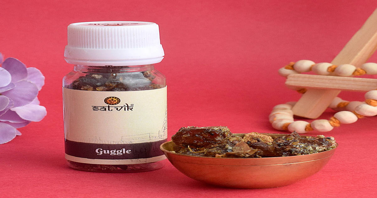 Buy SATVIK Pure Guggal For Pooja Online (25 g x 2) At Best Price