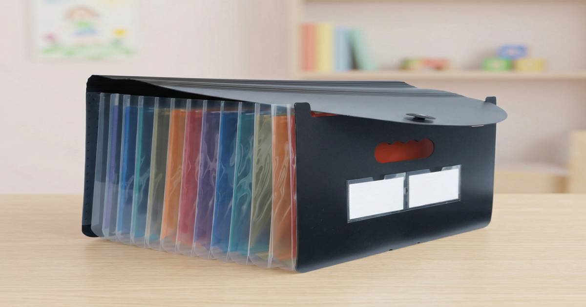 Buy Brustro Expanding File Folder with 13 Pockets | A4 Size Online (1 ...