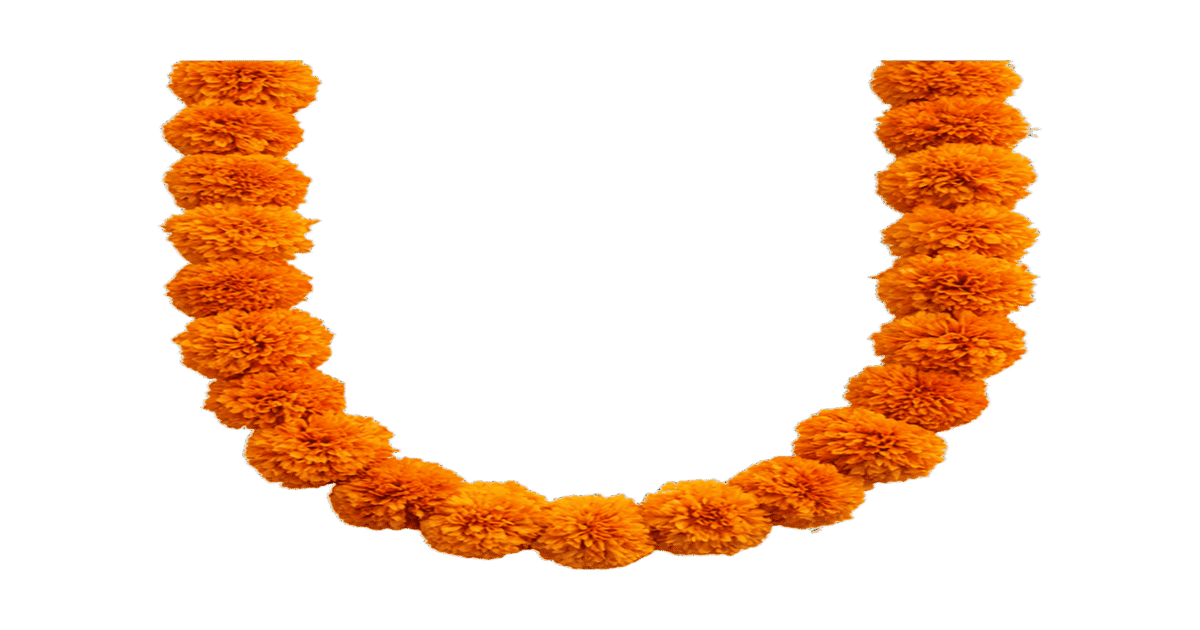 Buy Orange Marigold Flower String (3.7 - 4 ft) Online (1 String) At ...
