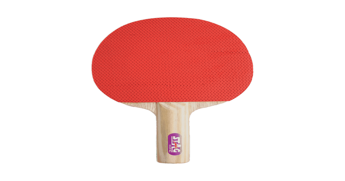 Stag Iconic Racket Buy Stag Iconic 1 Star Comfortable Grip Table Tennis Racket for ...