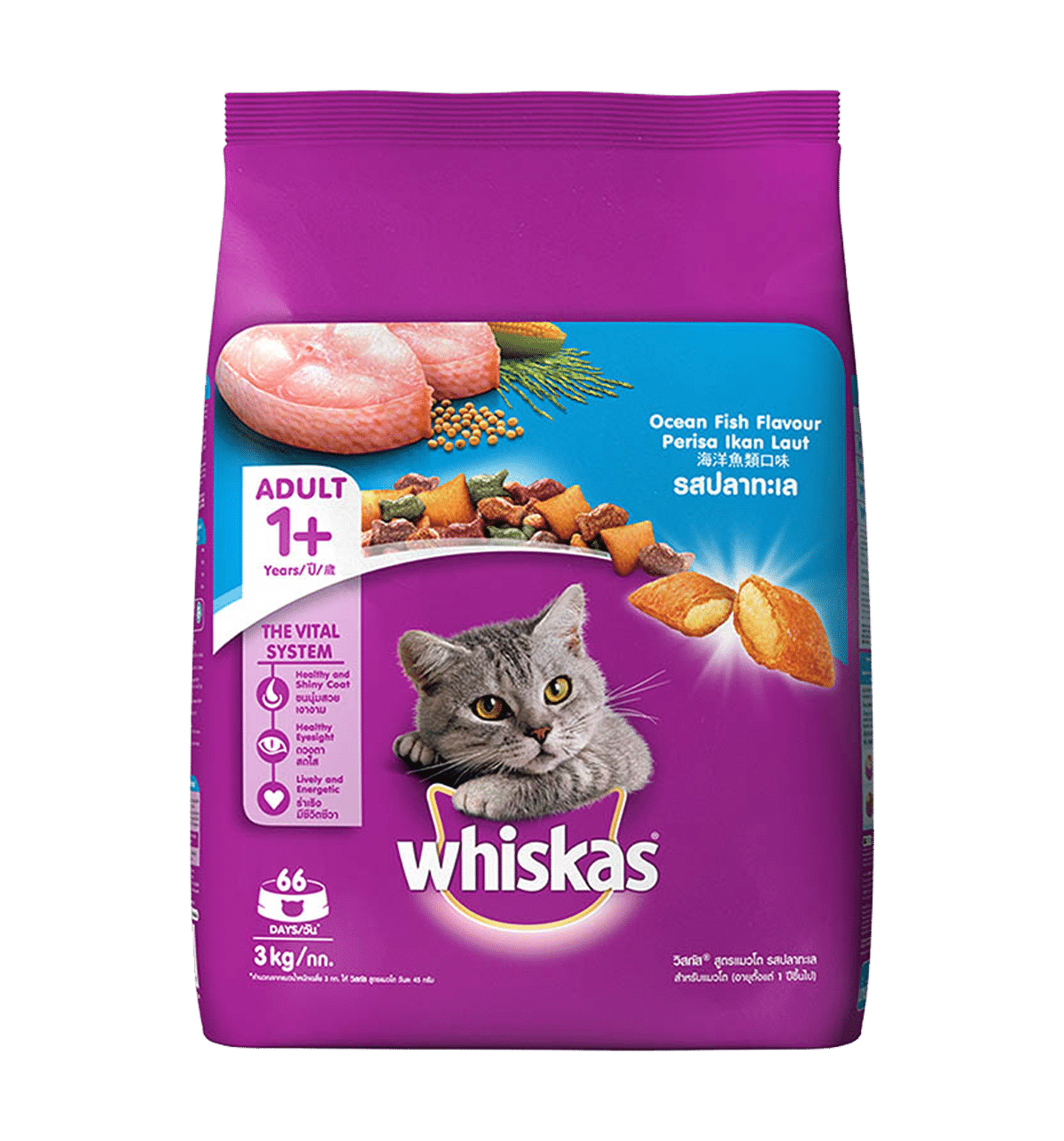 Cat Food Near Me Buy Cat Food Online