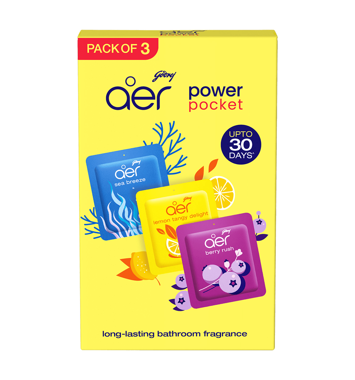 Buy Godrej Aer Godrej Aer Power Pocket Bathroom Freshener Assorted Pack ...