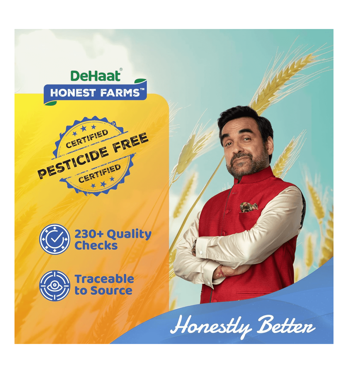 DHD MF DUCKS NUTS 5'8