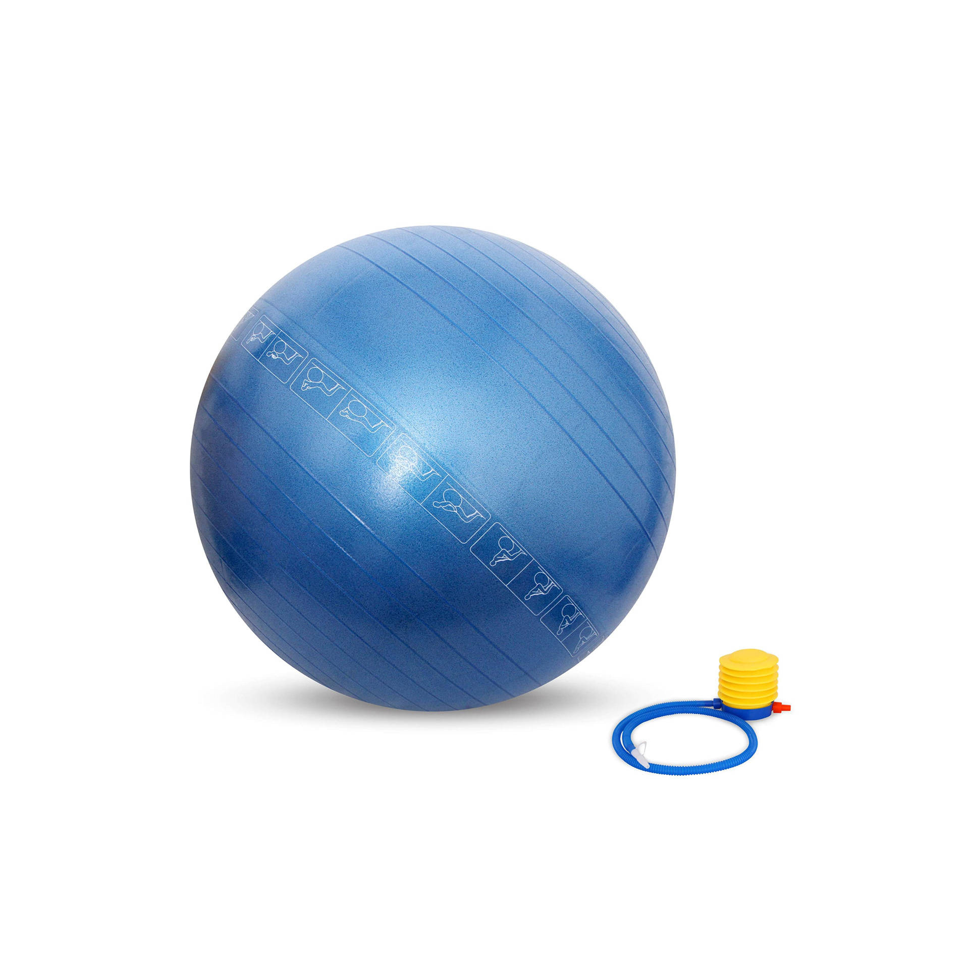 Buy Nivia Nivia 65cm Anti Burst Exercise Ball With Foot Pump Blue 1 Piece Online At Rs. 1049 Instant Delivery