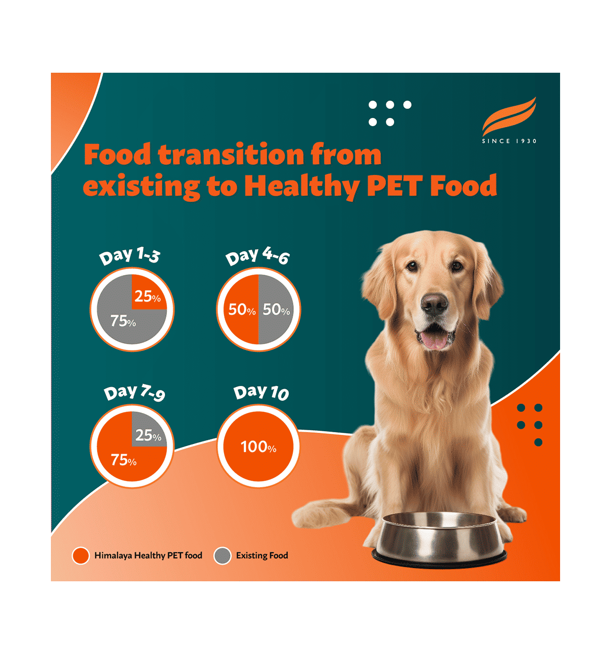 Healthy pet dog food shop