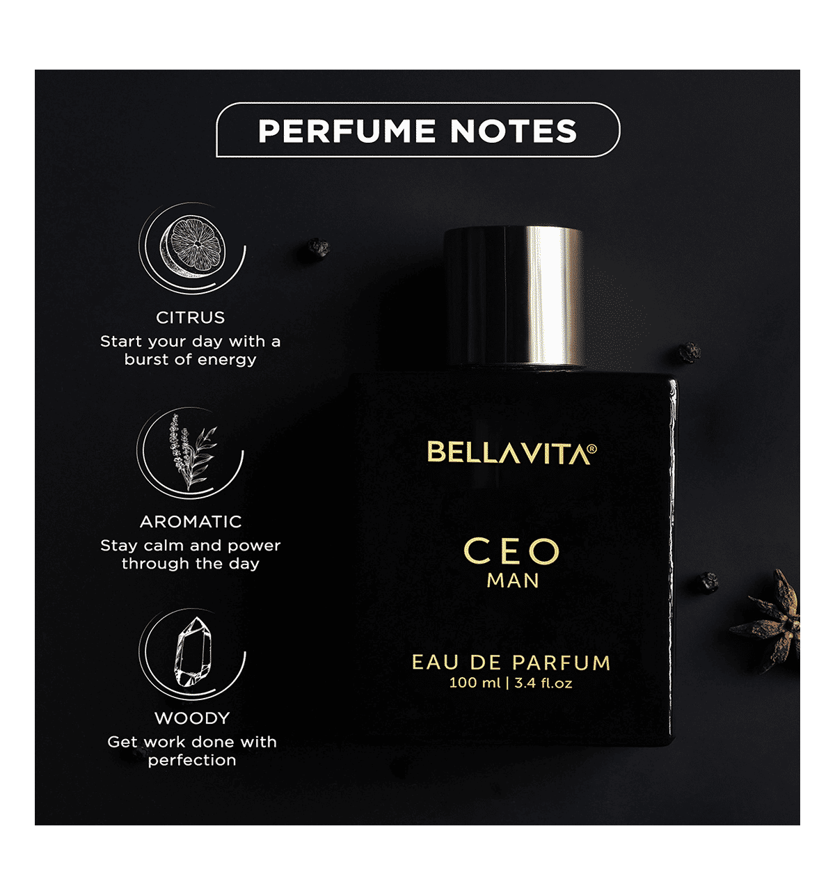 Buy Bella Vita Luxury CEO Man Eau De Parfum Office Wear for Men