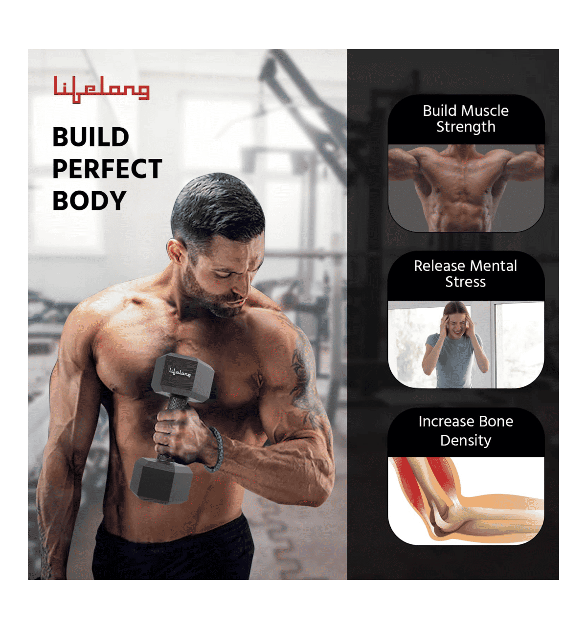 Buy Lifelong Gym Accessories online at the Lowest Prices- Instamart