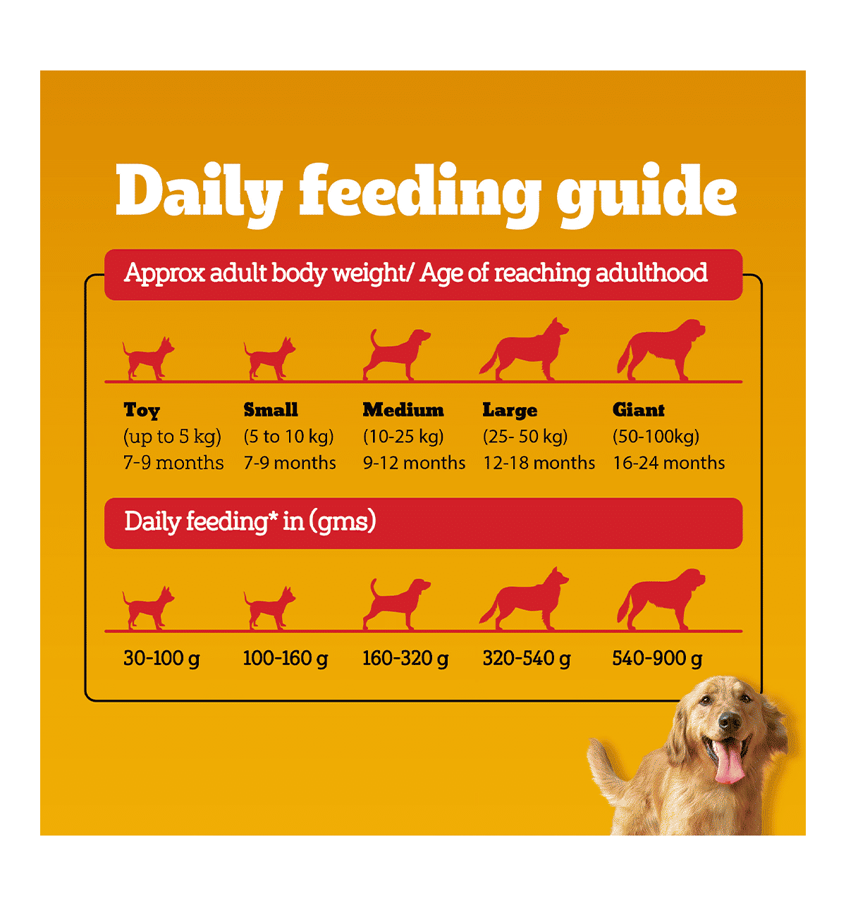 10kg Pedigree Dog Years Buy Pedigree Meat Rice Pack Adult Dry
