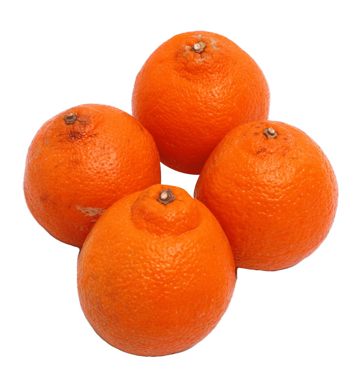 Buy Minneola Seedless Orange Online () At Best Price