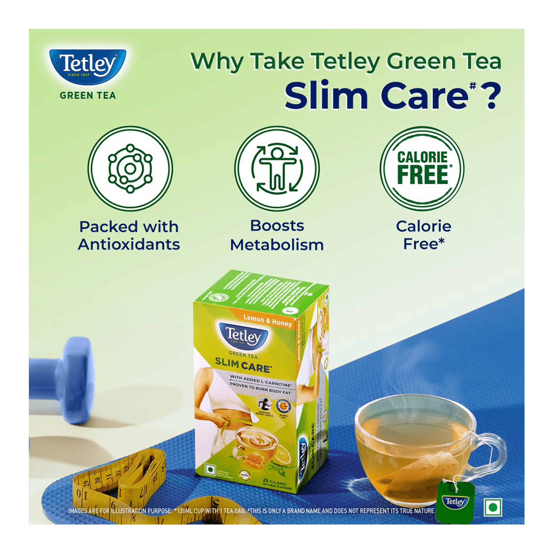 l carnitine tea bags Essential L-Carnitine L-Carnitine + Green Tea