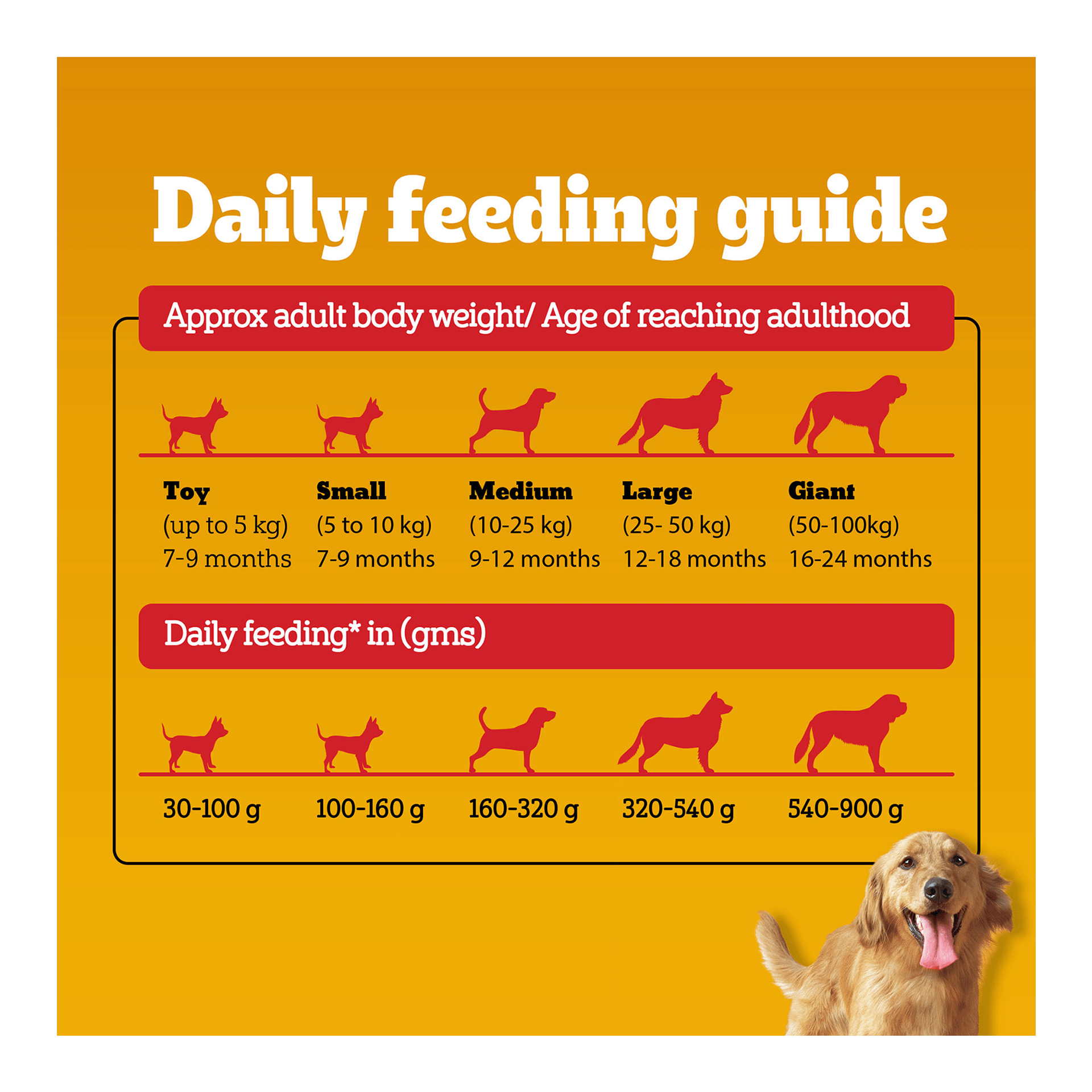 What Age Should I Switch to Adult Dog Food: Expert Tips Revealed