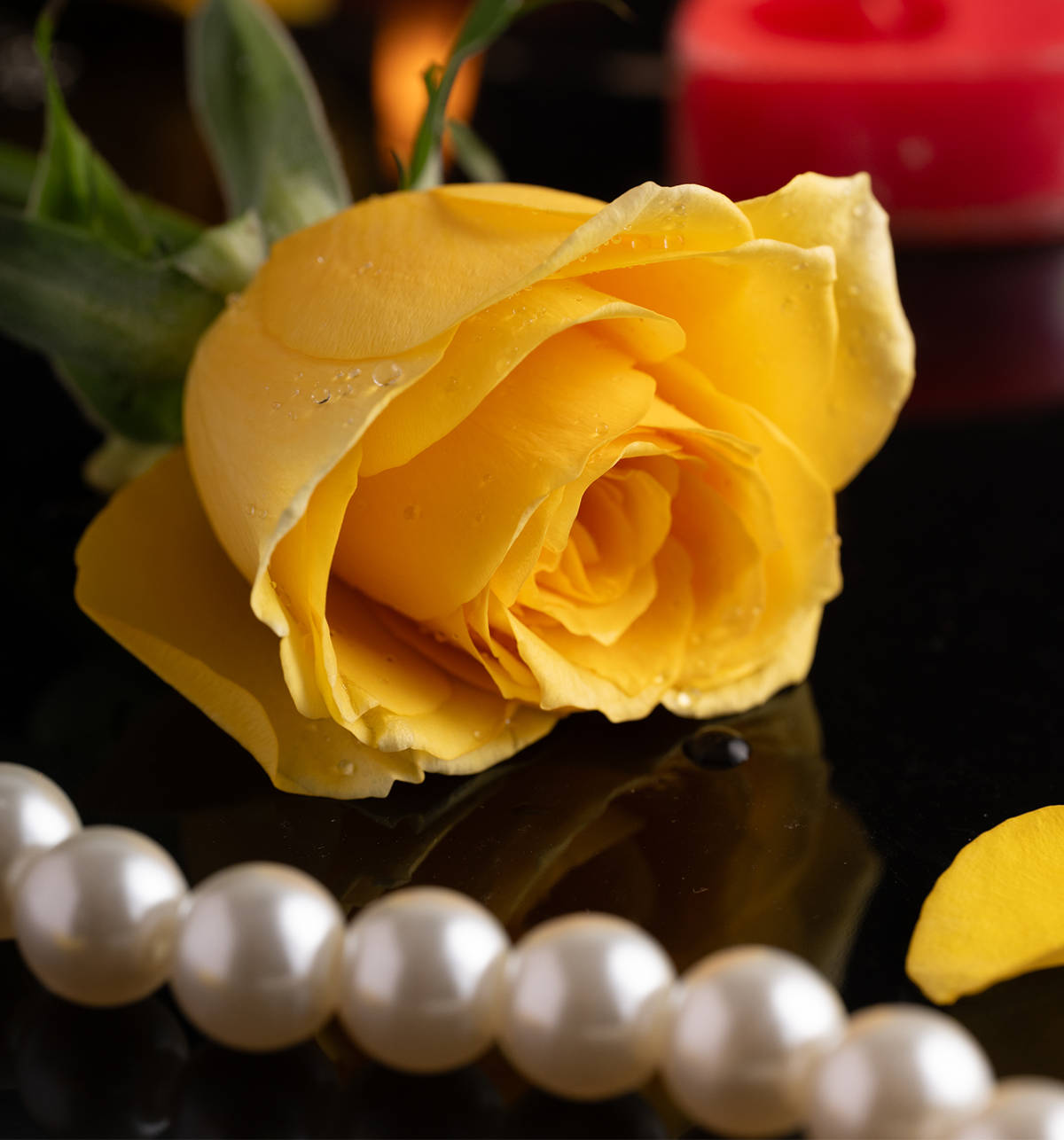 Simply Yellow Roses Buy Fresh Single Yellow Rose Online () At Best Price