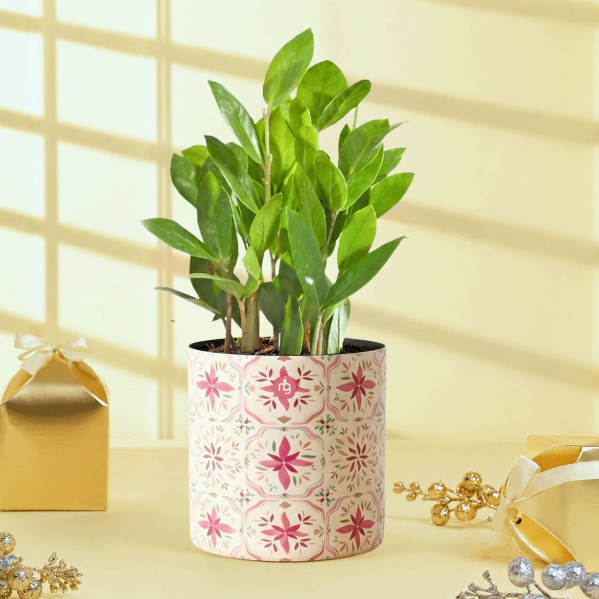 Buy Nurturing Green ZZ Plant with 5-Inch Metal Planter Online (1