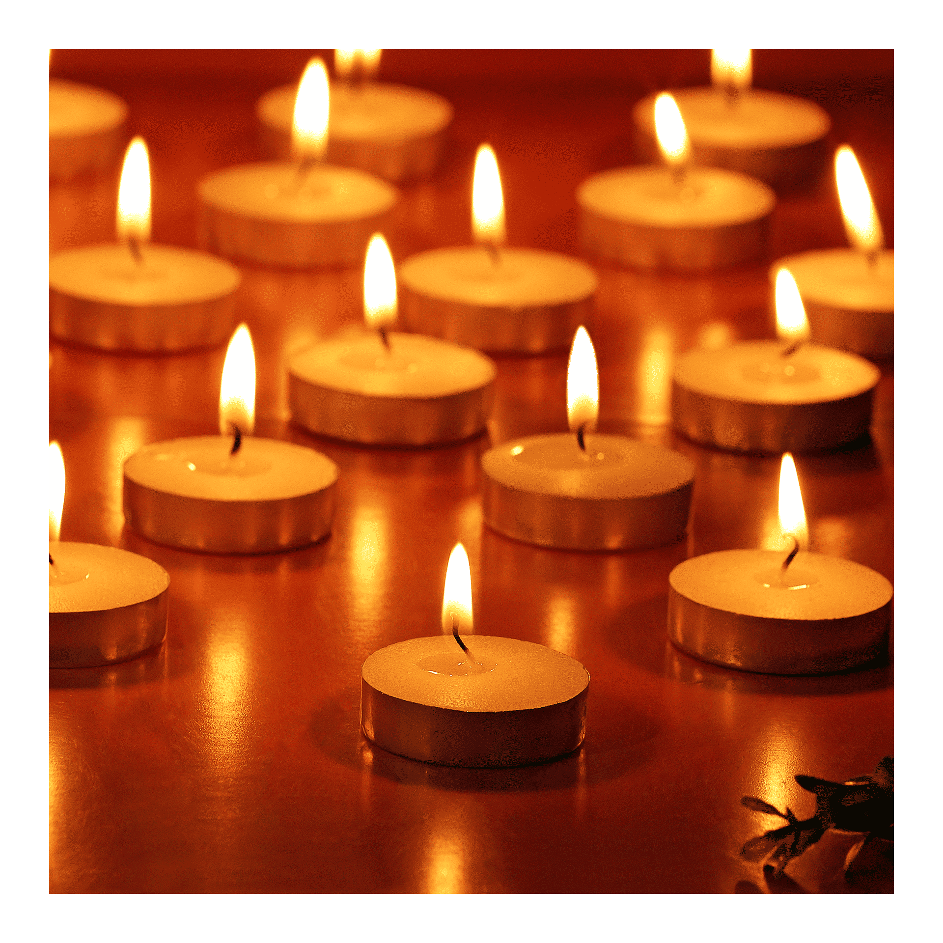 PROSPERRO LUMO by Parkash Candles - Set di 50 lumini colorati, non profumati