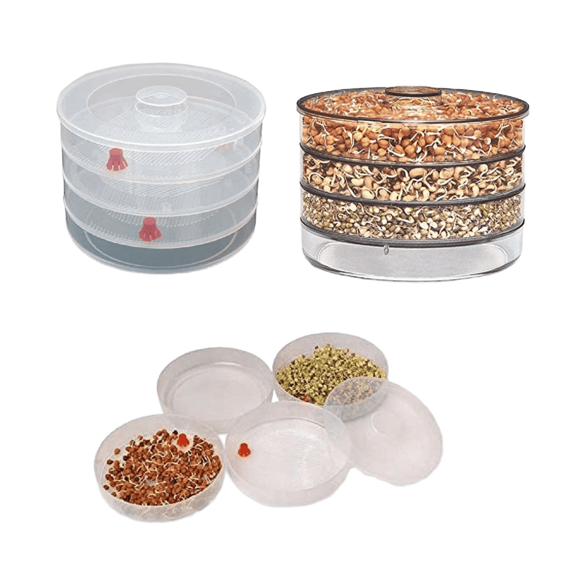 Buy TEX-RO Sprouts Maker Box (500ml, 4-Layer) Online (1 Piece) At