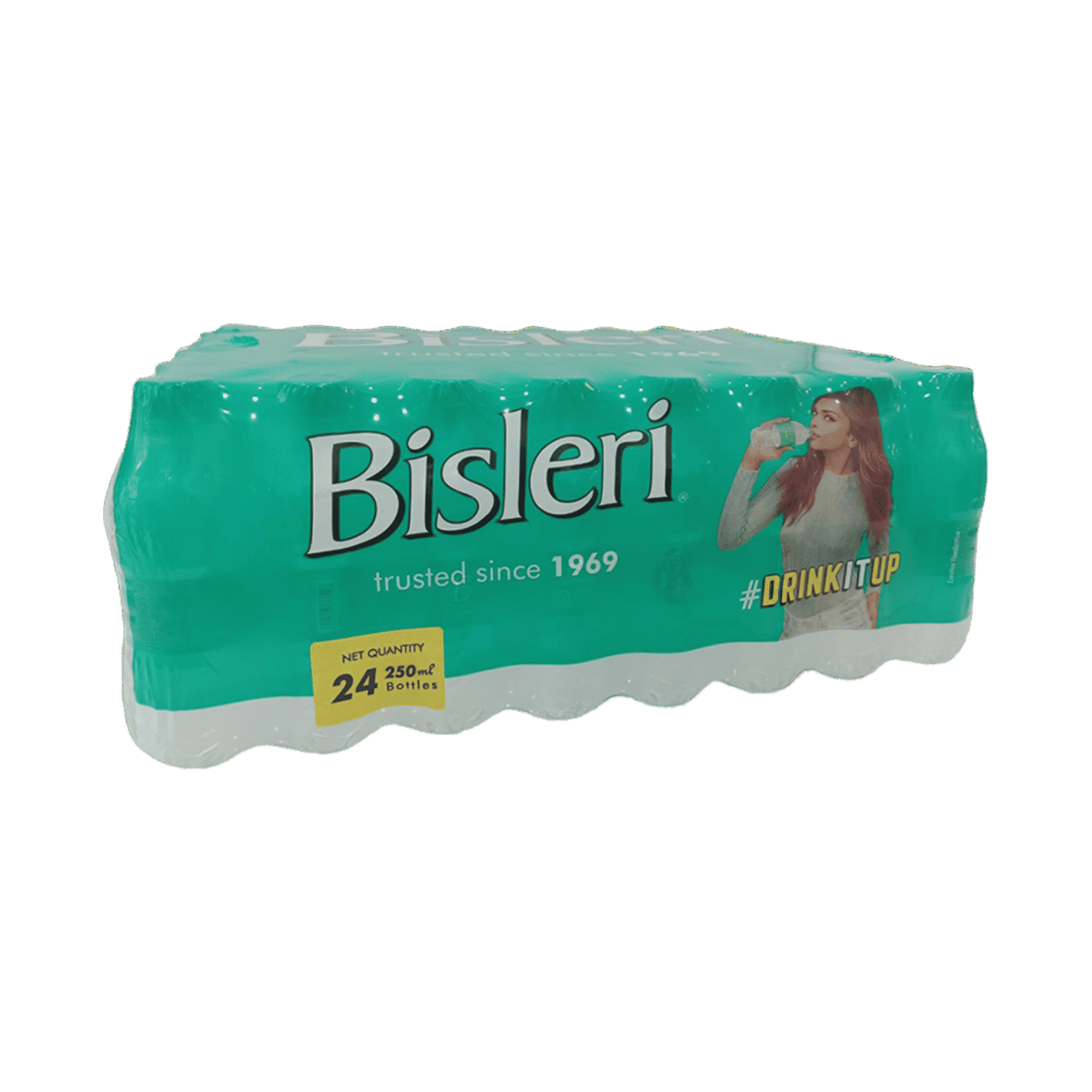 Bisleri 250ml Water 24 Pack