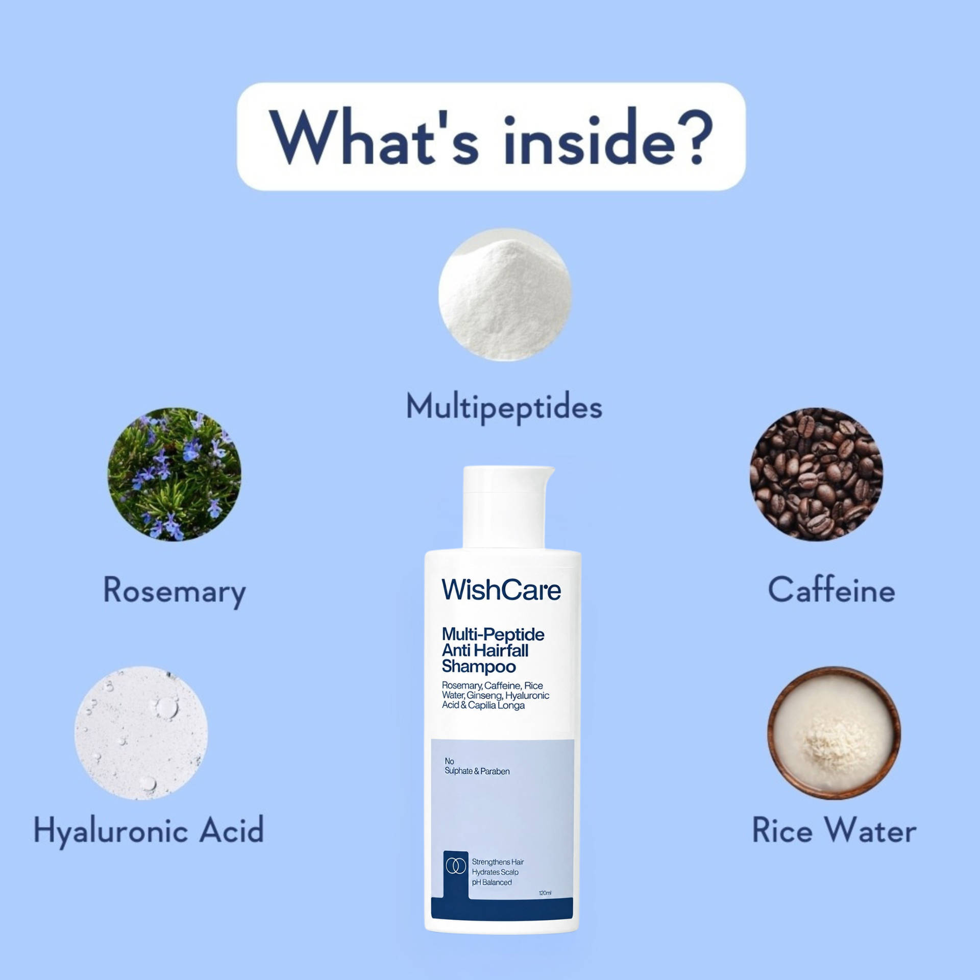 WishCare Multi Peptide Anti Hairfall Shampoo 120ml - Image 8